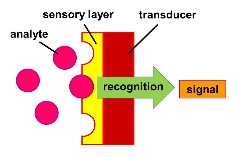 What Is A Biosensor Principle Types Of Biosensors And Their Applications