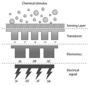 Chemical Sensor Structure